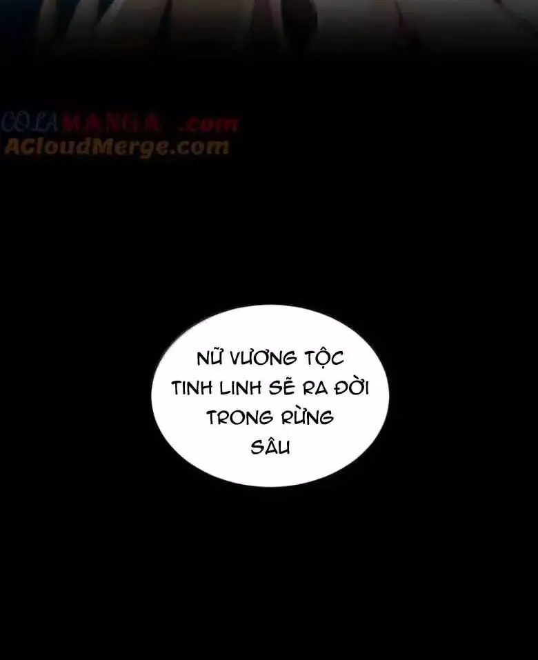 Thánh Nữ, Xin Hãy Dừng Ngay Những Trò Quái Đản Của Cô Đi!! Chapter 123 - Trang 4