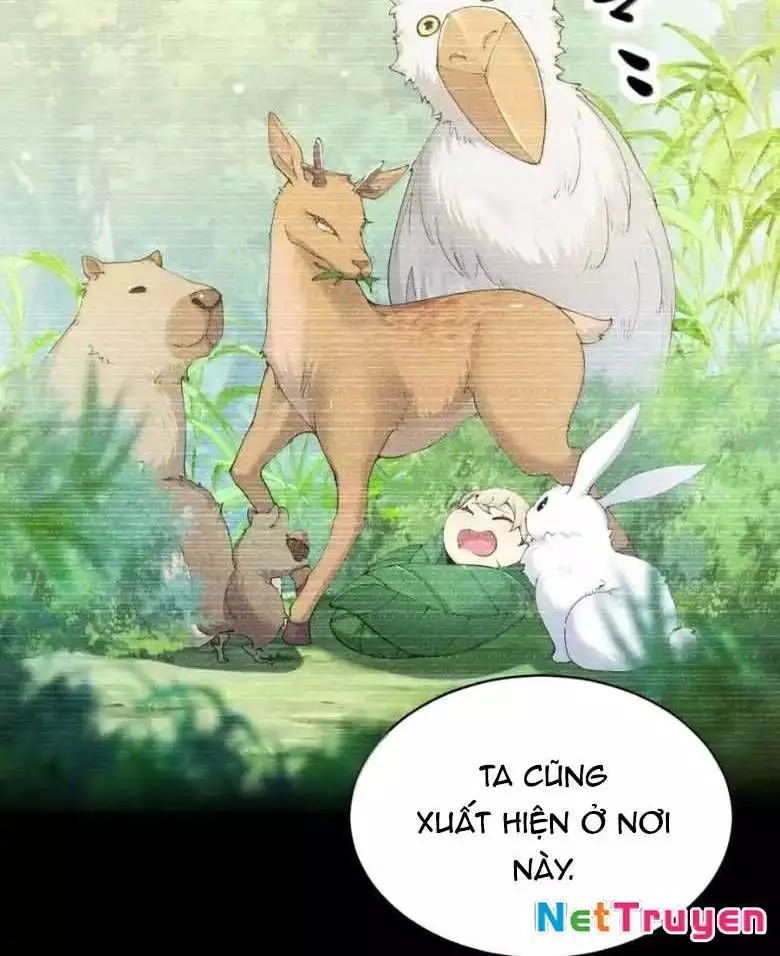 Thánh Nữ, Xin Hãy Dừng Ngay Những Trò Quái Đản Của Cô Đi!! Chapter 123 - Trang 4