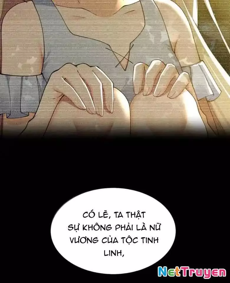 Thánh Nữ, Xin Hãy Dừng Ngay Những Trò Quái Đản Của Cô Đi!! Chapter 123 - Trang 4