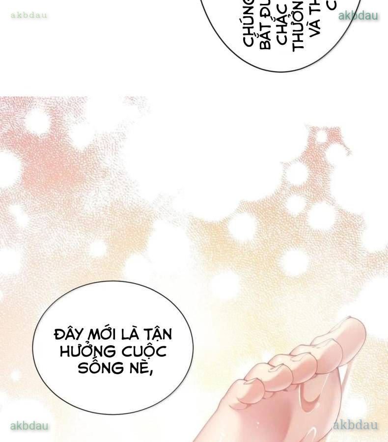 Thánh Nữ, Xin Hãy Dừng Ngay Những Trò Quái Đản Của Cô Đi!! Chapter 138 39