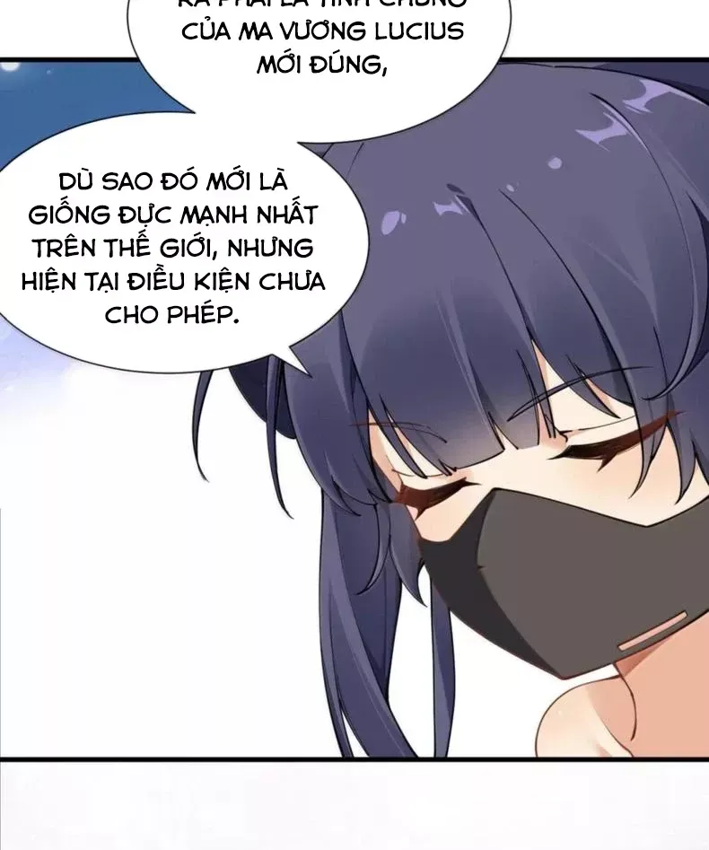 Thánh Nữ, Xin Hãy Dừng Ngay Những Trò Quái Đản Của Cô Đi!! Chapter 140 28