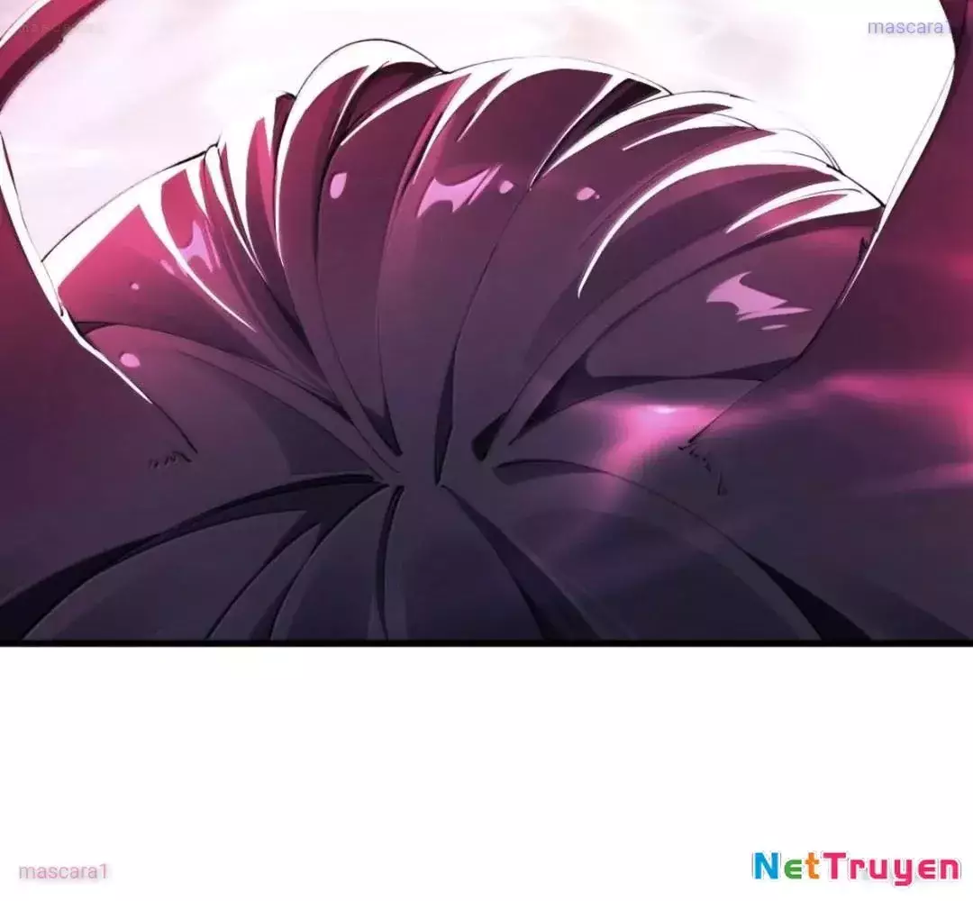 Thánh Nữ, Xin Hãy Dừng Ngay Những Trò Quái Đản Của Cô Đi!! Chapter 142 - Trang 2
