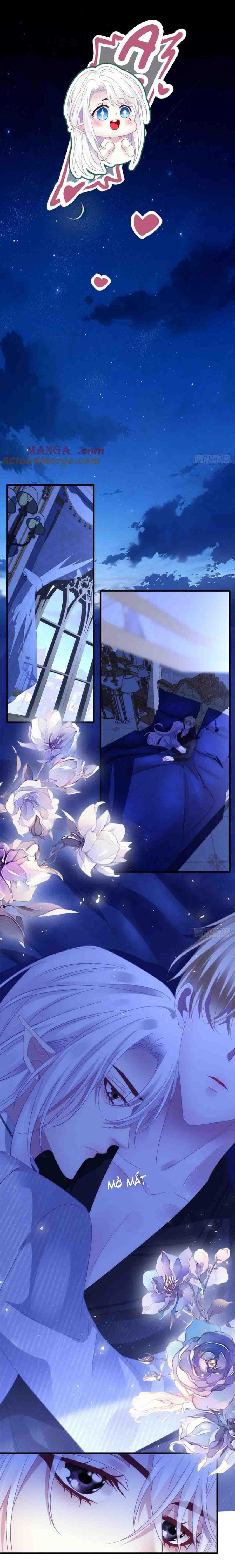 Thánh Tâm không dễ chọc Chapter 78 - Trang 3