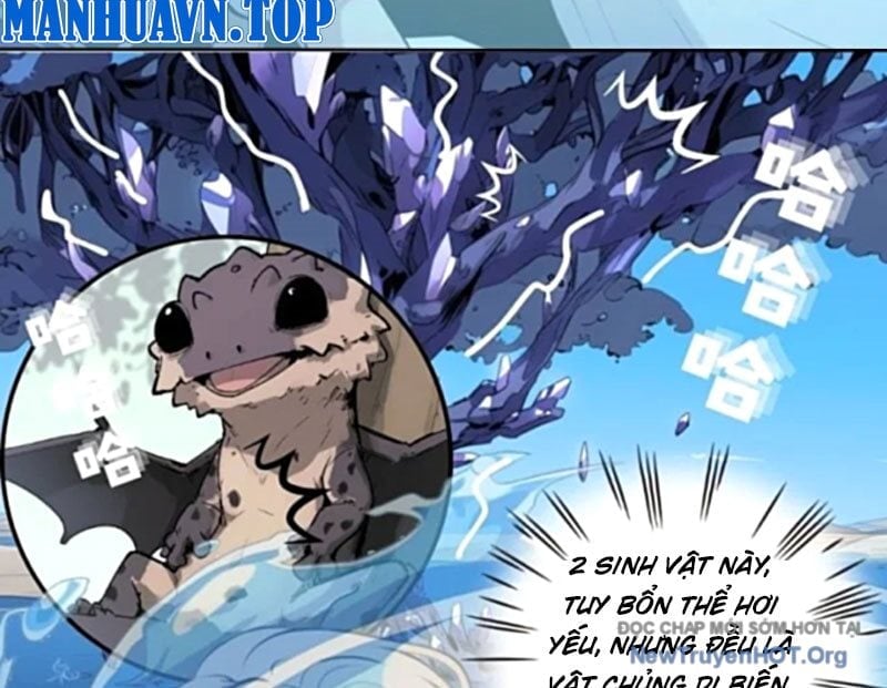 Thành Thần Bắt Đầu Từ Một Hồ Nước Chapter 13 - Trang 2