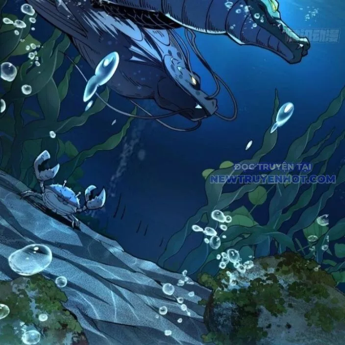 Thành Thần Bắt Đầu Từ Thủy Hầu Tử Chapter 12 - Trang 4