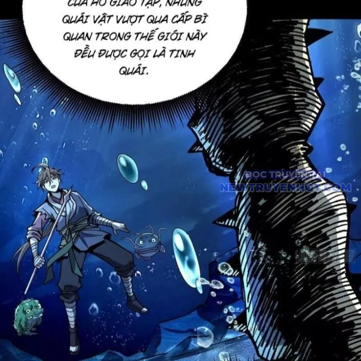 Thành Thần Bắt Đầu Từ Thủy Hầu Tử Chapter 12 - Trang 4