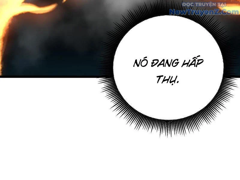 Thành Thần Bắt Đầu Từ Thủy Hầu Tử Chapter 38 - Trang 2