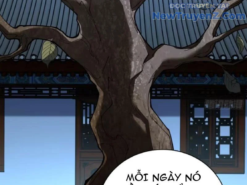 Thành Thần Bắt Đầu Từ Thủy Hầu Tử Chapter 39 - Trang 2