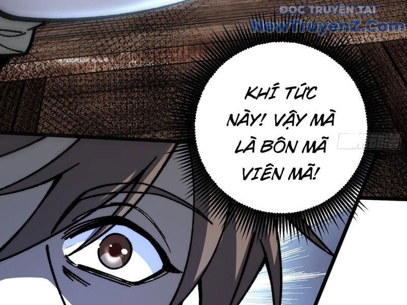 Thành Thần Bắt Đầu Từ Thủy Hầu Tử Chapter 41 - Trang 2