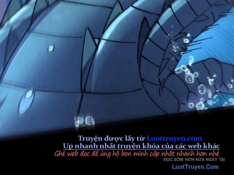 Thành Thần Bắt Đầu Từ Thủy Hầu Tử Chapter 82 - Trang 2