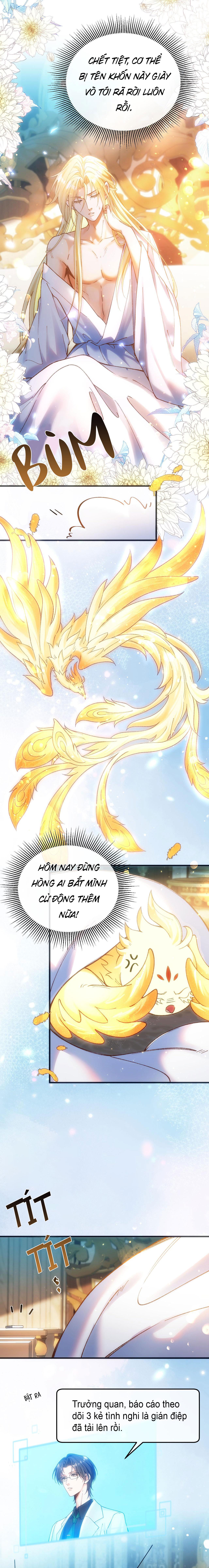 Thánh Tử Điện Hạ Bị Gan Mác Bừa Bãi Chapter 12 - Trang 3