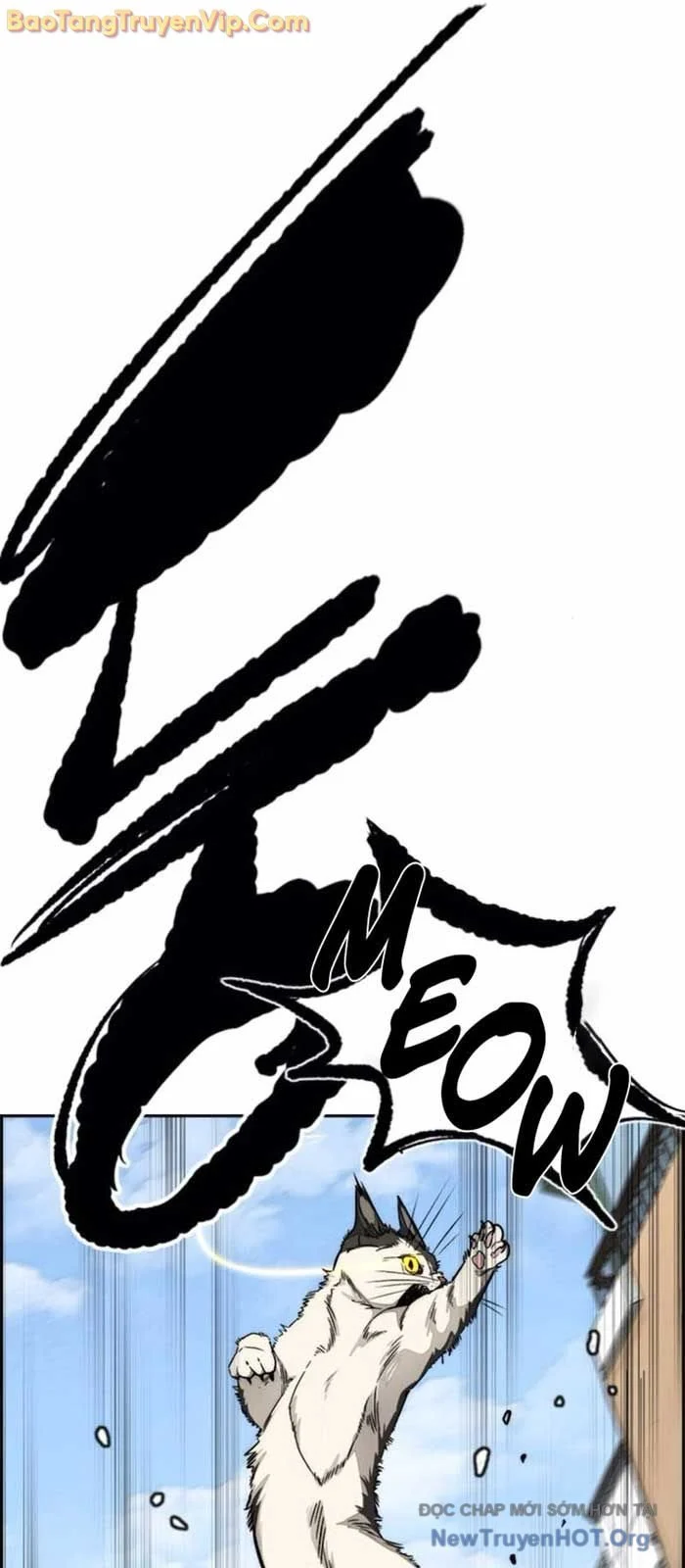 Thể Thao Cực Hạn Chapter 554 - Trang 2