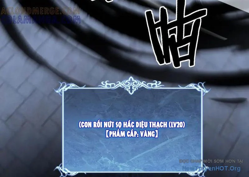 Thích Khách Thần Cấp, Ta Chính Là Bóng Đêm Chapter 45 - Next 