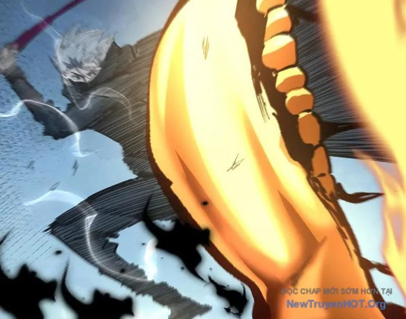 Thích Khách Thần Cấp, Ta Chính Là Bóng Đêm Chapter 46 - Next Chapter 47