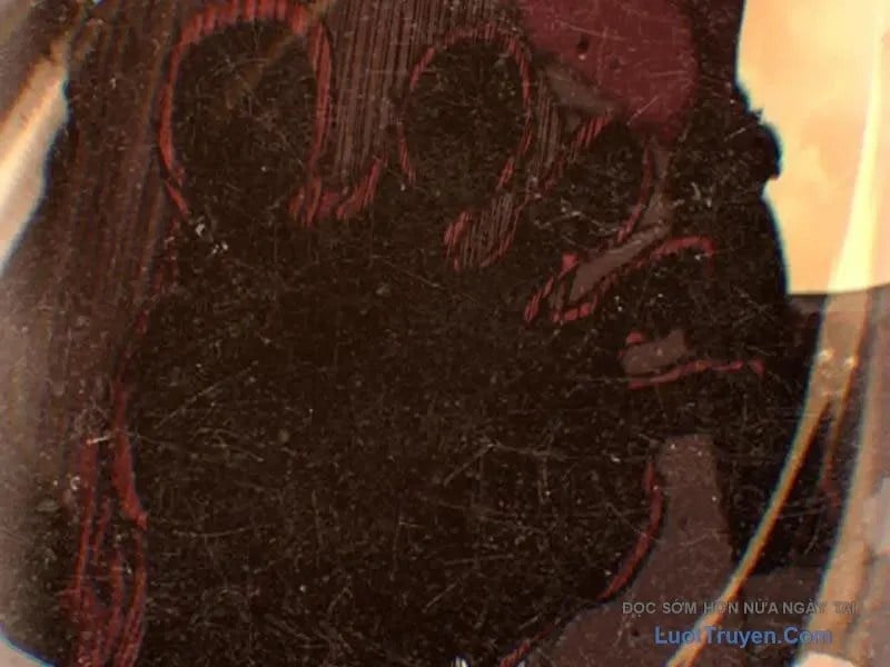 Thích Khách Thần Cấp, Ta Chính Là Bóng Đêm Chapter 64 - Trang 2