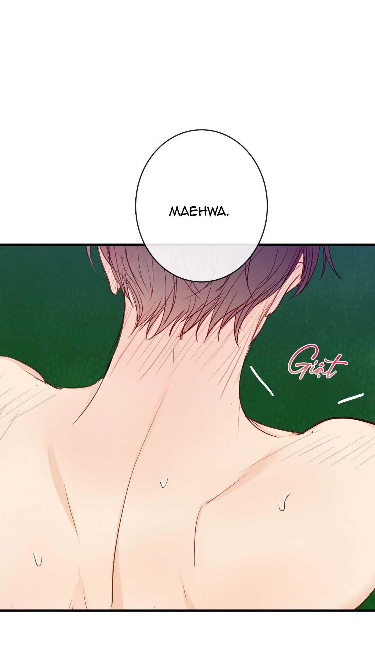 Thiên Đường Táo Xanh Chapter 118 - Next 