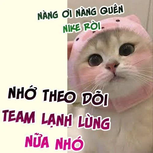 Thiên Kim Toàn Năng Đại Tài Chapter 182 - Trang 4