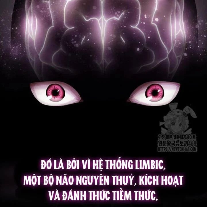 Thiên Tài Nhìn Thấu Thế Giới Chapter 23 - Trang 2