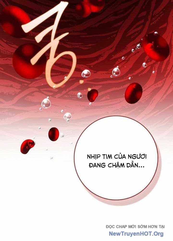 Thiên Tài Võ Thuật Hồi Quy Chapter 111 - Trang 2