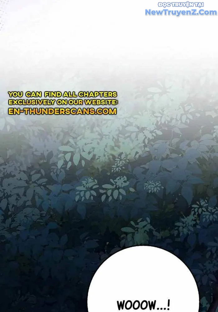 Thiên Tài Võ Thuật Hồi Quy Chapter 89 - Trang 2