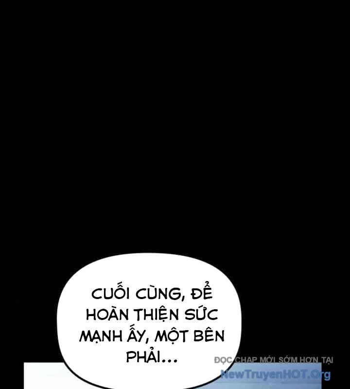 Thiếu Gia Chủ Của Gia Tộc Tử Linh Sư Chapter 29 - Trang 3