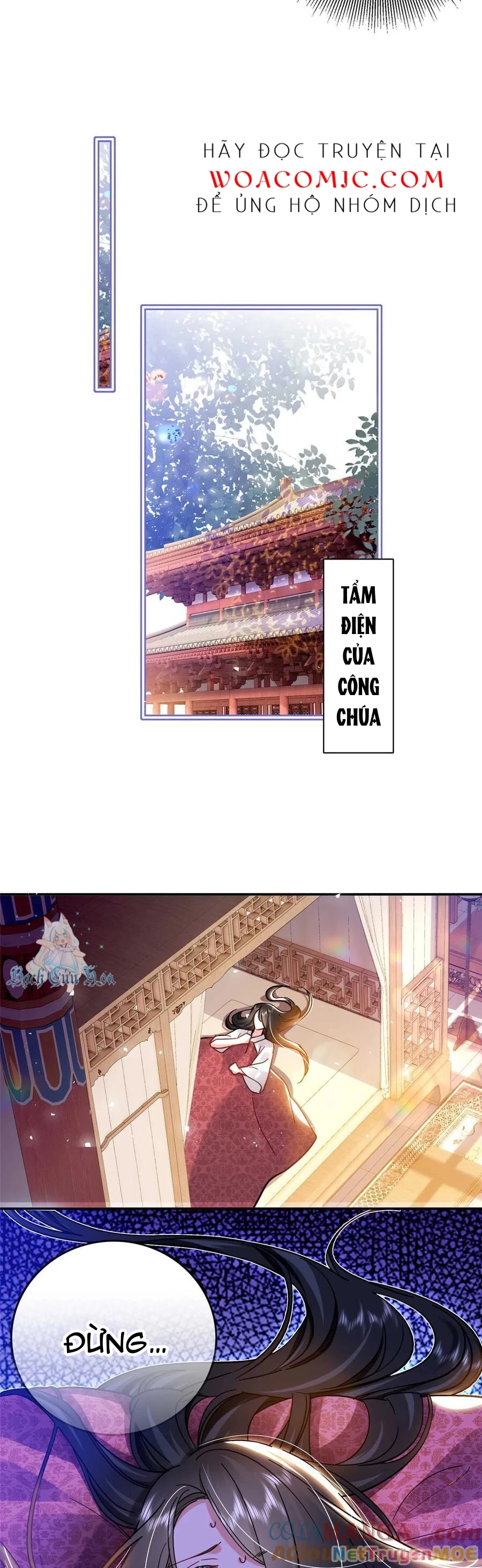 Thiều Quang Mạn Chapter 165 - Trang 2