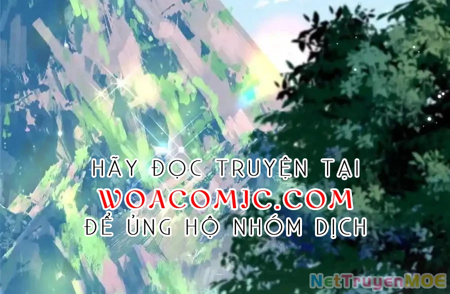 Thiều Quang Mạn Chapter 167 - Trang 2