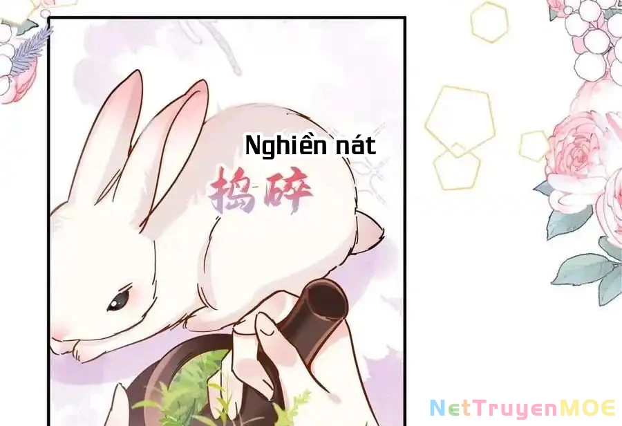 Thiều Quang Mạn Chapter 167 - Trang 2