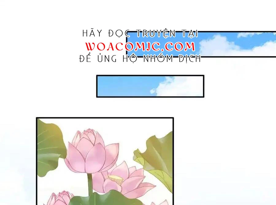 Thiều Quang Mạn Chapter 172 - Trang 2