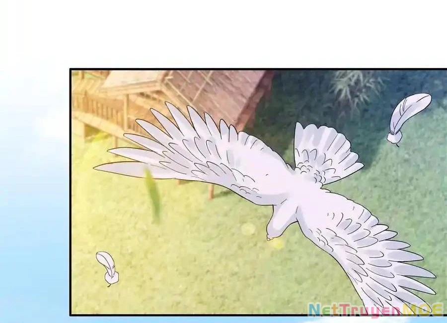 Thiều Quang Mạn Chapter 172 - Trang 2