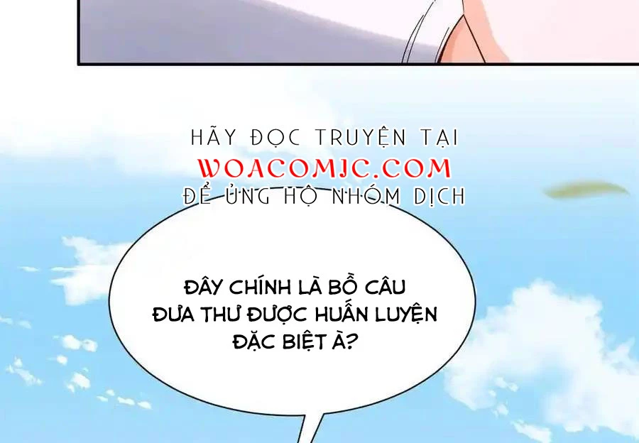 Thiều Quang Mạn Chapter 172 - Trang 2