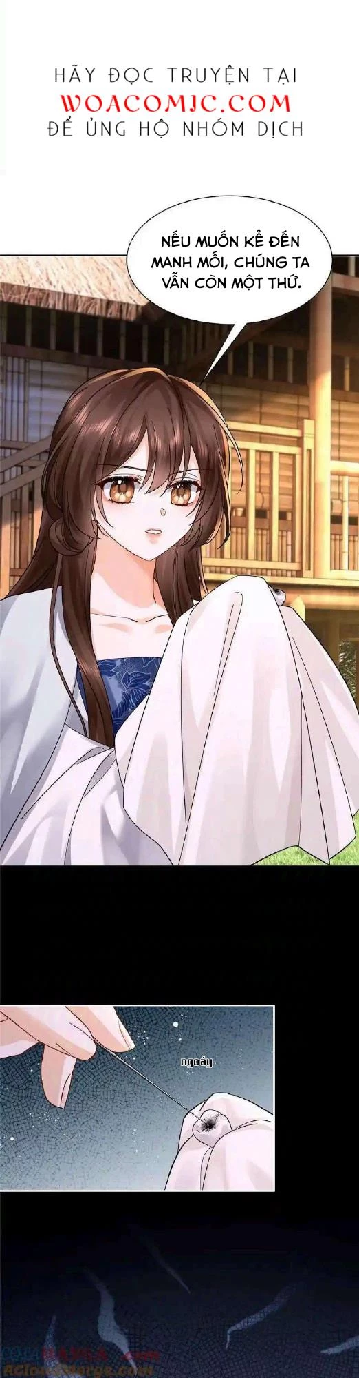 Thiều Quang Mạn Chapter 173 - Trang 2
