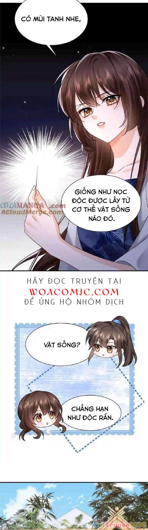 Thiều Quang Mạn Chapter 173 - Trang 2