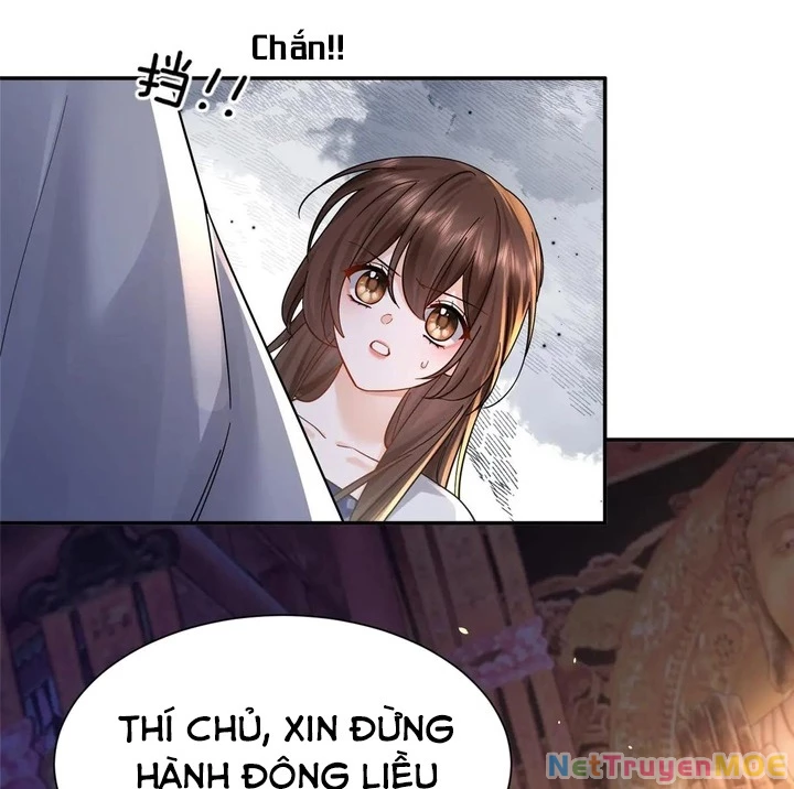 Thiều Quang Mạn Chapter 175 - Trang 2