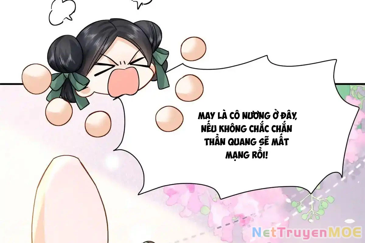 Thiều Quang Mạn Chapter 176 - Trang 2