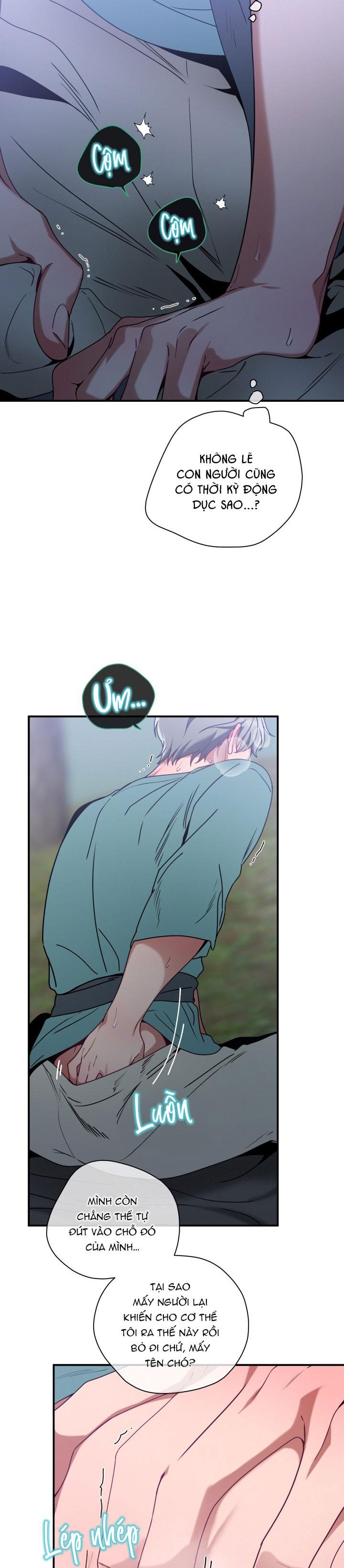 THÚ CƯNG DAMDANG Chapter 10.4 cooking end - Next 