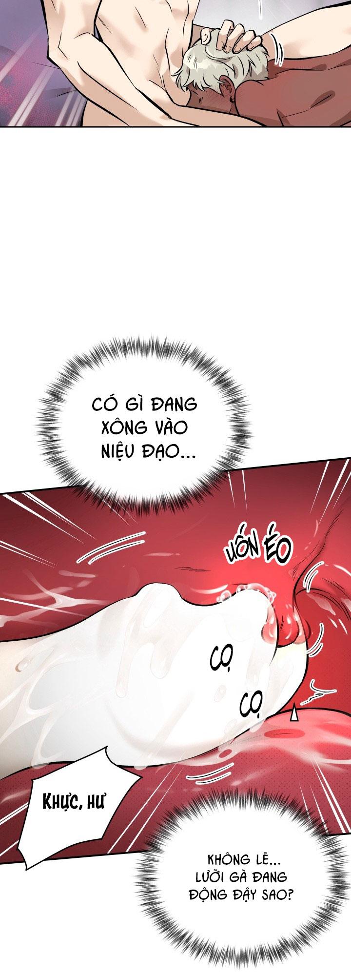 THÚ CƯNG DAMDANG Chapter 8.2 whipping 2 - Next 