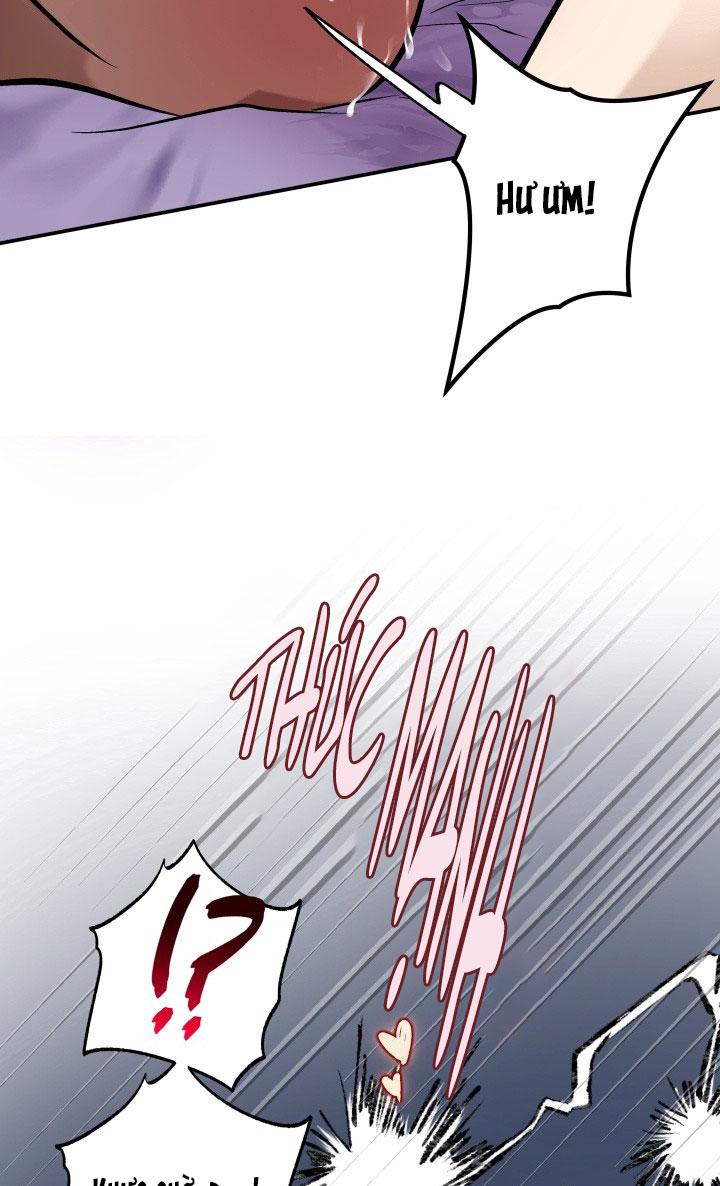 THÚ CƯNG DAMDANG Chapter 8.3 whipping end - Trang 2