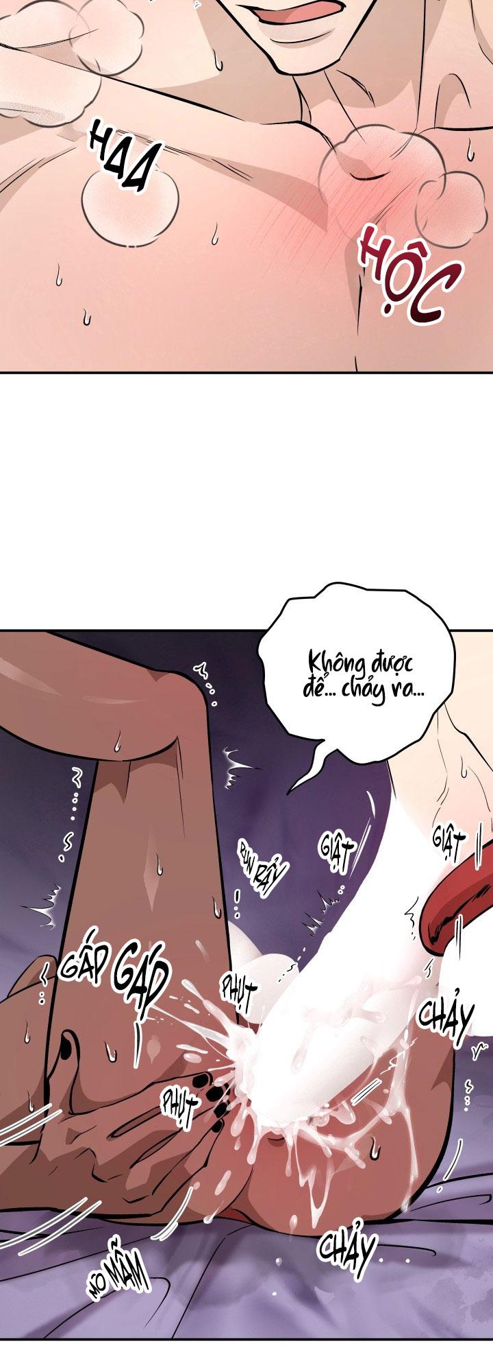 THÚ CƯNG DAMDANG Chapter 8.3 whipping end - Trang 2
