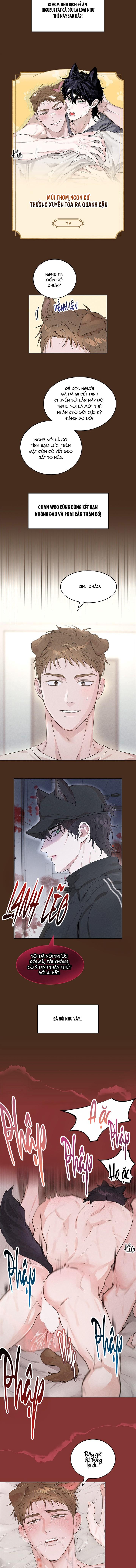 THÚ CƯNG DAMDANG Chapter 8 preview - Trang 3