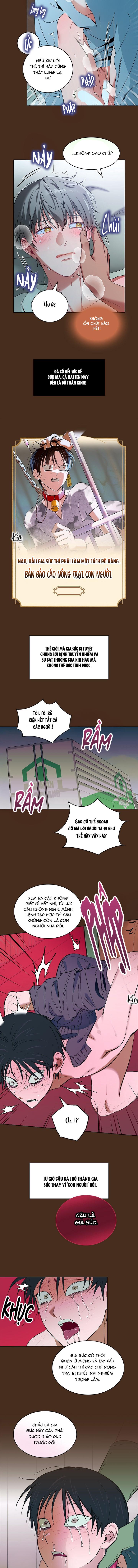 THÚ CƯNG DAMDANG Chapter 8 preview - Trang 3