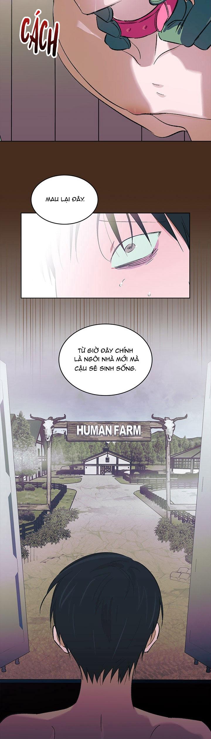 THÚ CƯNG DAMDANG Chapter 8 preview - Trang 3