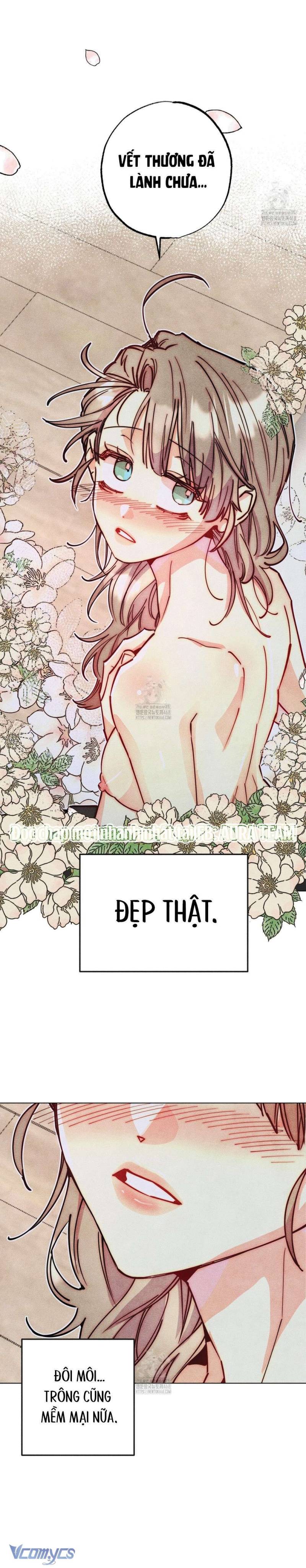 Thu Thập Đêm Đầu Tiên Của Các Nam Chính Chap 45 - Trang 2