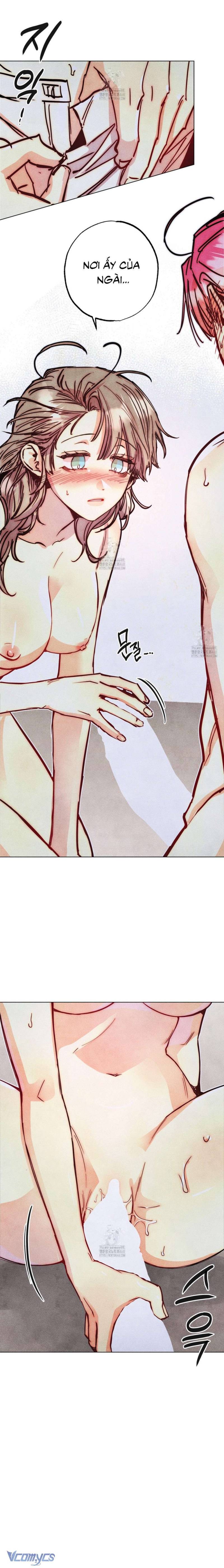 Thu Thập Đêm Đầu Tiên Của Các Nam Chính Chap 45 - Trang 2