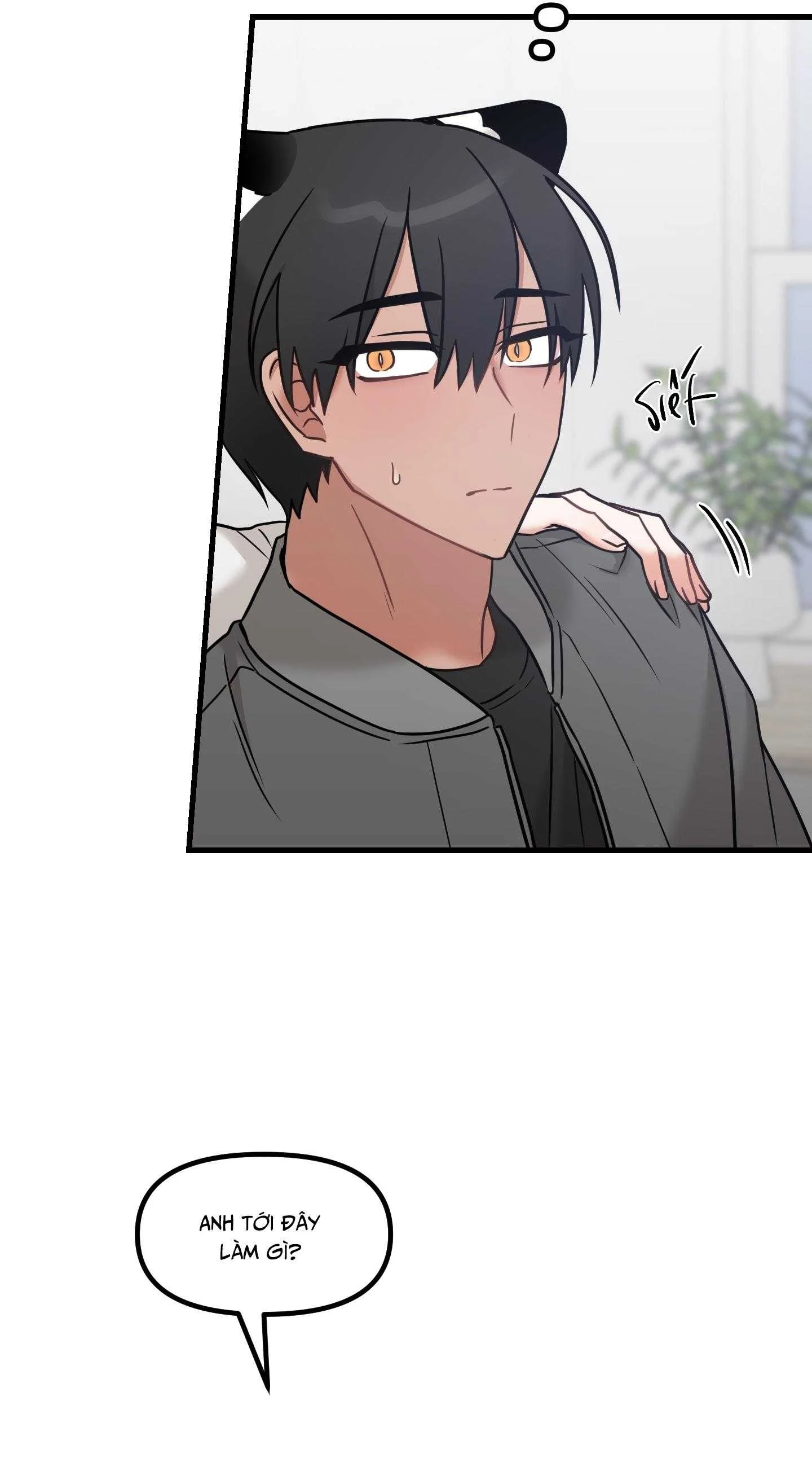 THƯA NGÀI HỔ, TÔI ĐÃ ĂN RẤT NGON MIỆNG Chapter 31 SS2 - Trang 3