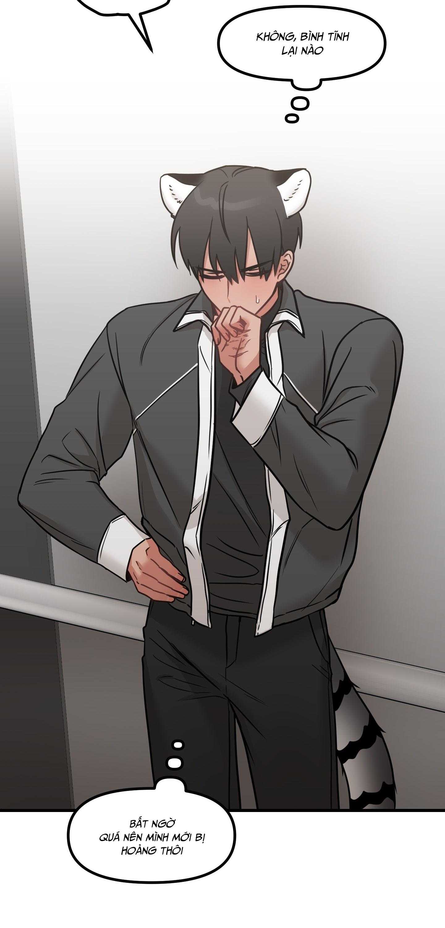 THƯA NGÀI HỔ, TÔI ĐÃ ĂN RẤT NGON MIỆNG Chapter 33 - Next 