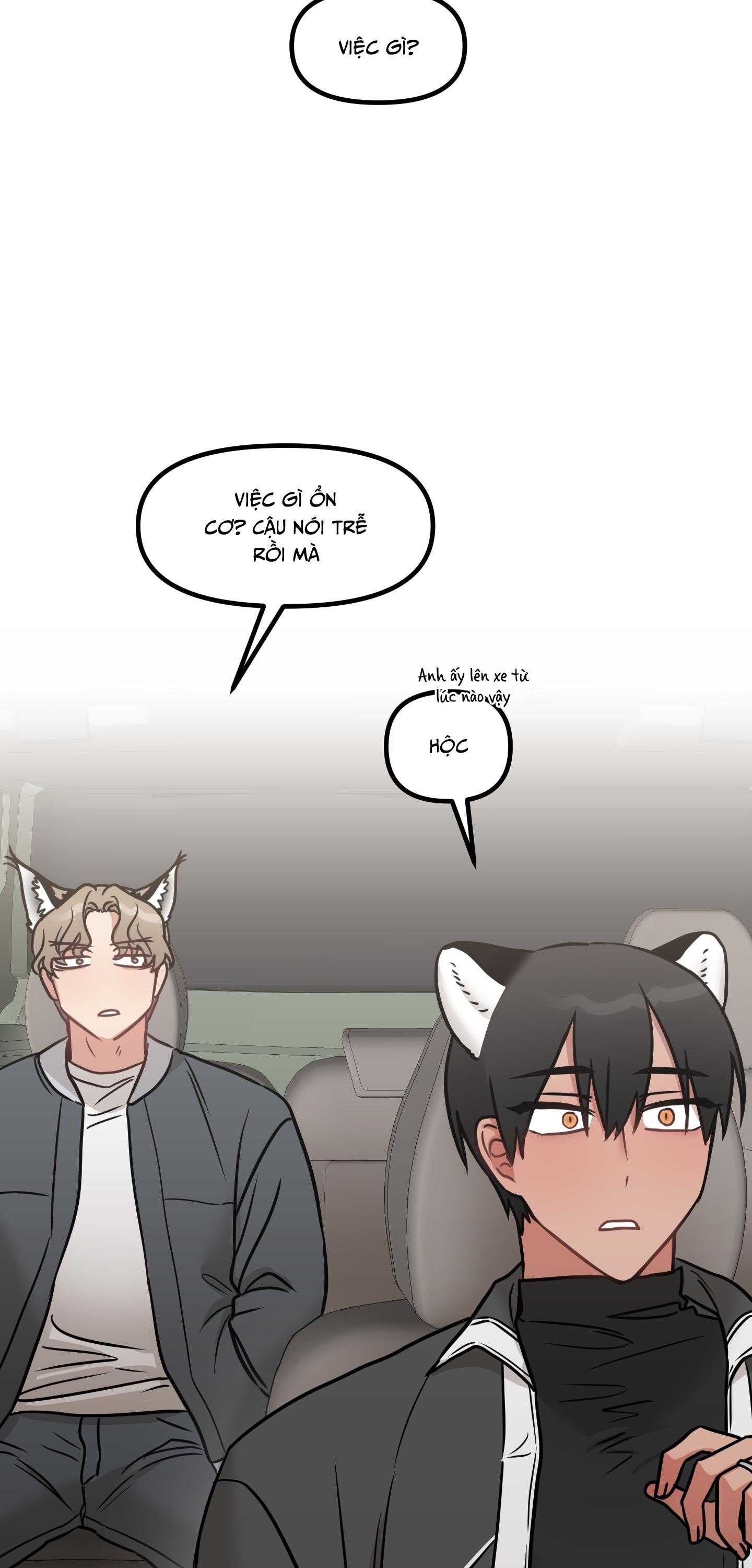 THƯA NGÀI HỔ, TÔI ĐÃ ĂN RẤT NGON MIỆNG Chapter 33 - Next 