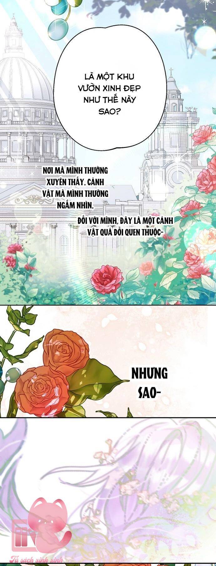 Tiền Là Tất Cả Chồng Là Phù Du Chapter 102 - Trang 3