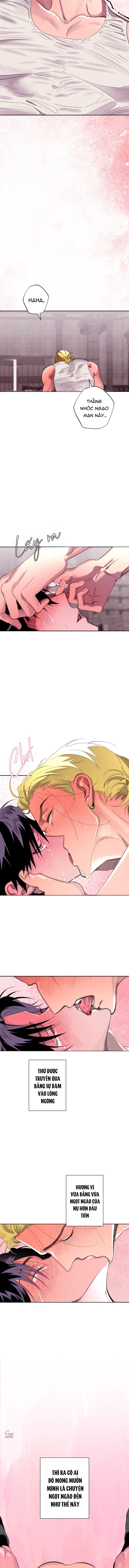 TIẾN SĨ V VÀ BA NGƯỜI TÌNH Chapter 20 END SS1 - Trang 3