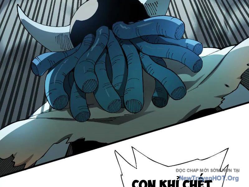 Tiên Vương Thú Liệp Pháp Tắc Chapter 5 - Trang 3